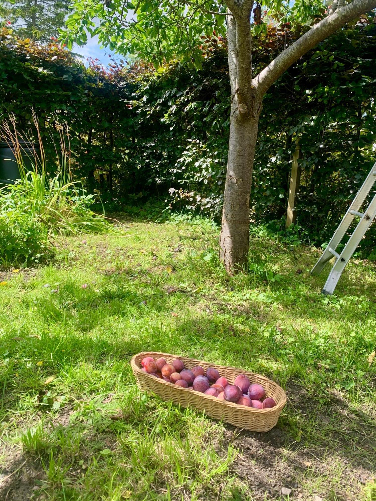 Watlington  The Little Orchard 빌라 외부 사진