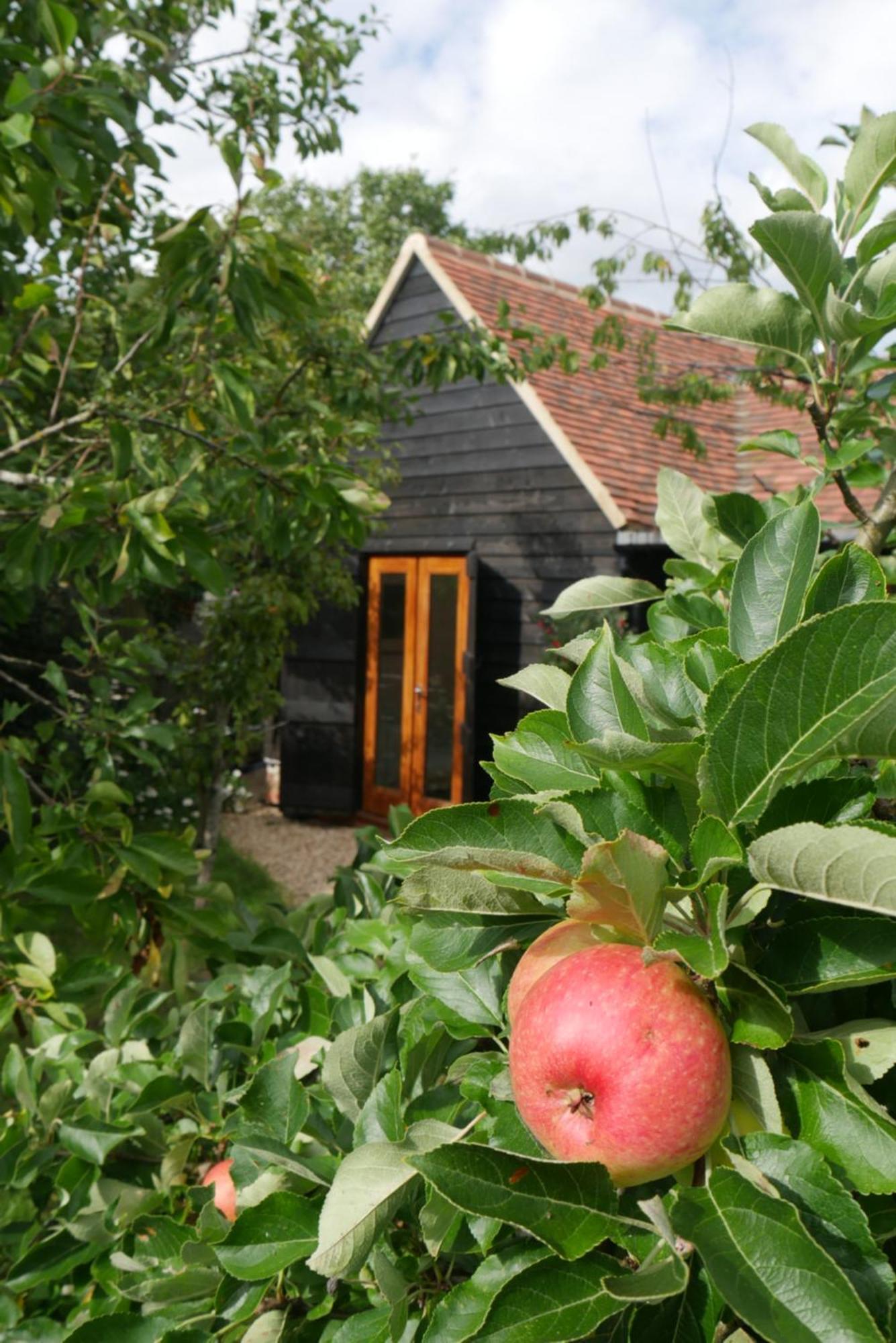 Watlington  The Little Orchard 빌라 외부 사진